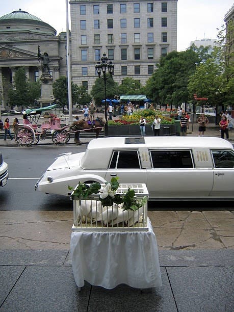 Bridal Limo